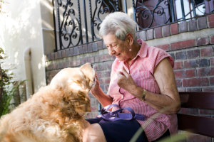 10 motivos pelos quais as pessoas mais velhas precisam dos pets