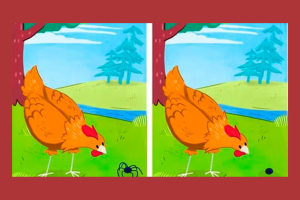 Desafio Visual: Encontre as Diferenças!