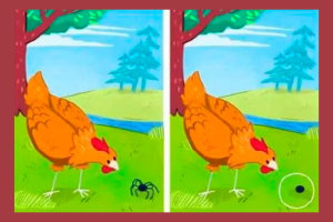 Desafio Visual: Encontre as Diferenças!