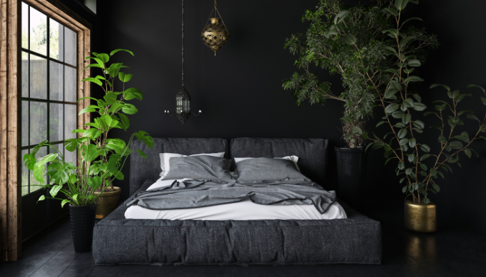10 plantas incríveis para dormir melhor: crie um quarto dos sonhos!