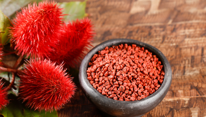 Urucum: o tempero brasileiro que beneficia sua saúde