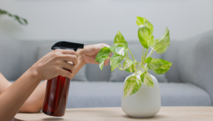 Como Salvar uma Planta Doente: Técnicas Profissionais de Jardinagem