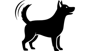 Por que o cachorro abana o rabo? Entenda já