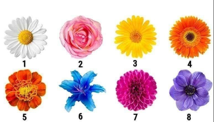 A flor que você escolher revelará seu verdadeiro traço de caráter