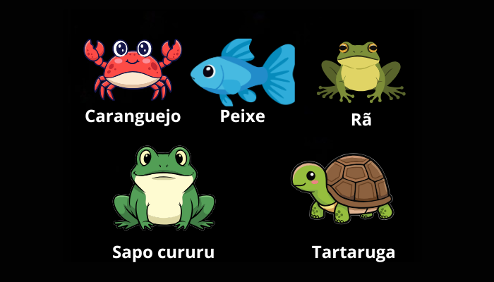 Escolha o bicho e descubra o quão “complexo” você realmente é