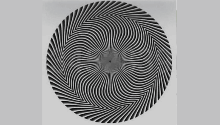 A espiral que confunde a visão: por que cada pessoa enxerga números diferentes?