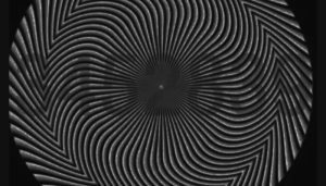 A espiral que confunde a visão: por que cada pessoa enxerga números diferentes?